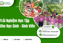 Trải Nghiệm Học Tập Cho Học Sinh – Sinh Viên
