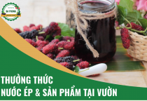 Thưởng Thức Nước Ép & Sản Phẩm Tại Vườn