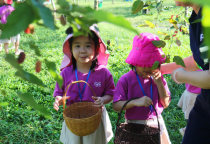 Trải Nghiệm Làm Nông Dân Thực Thụ Tại Vườn Dâu Tằm Ba Phong