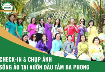 Check-in & Chụp Ảnh Sống Ảo Tại Vườn Dâu Tằm Ba Phong
