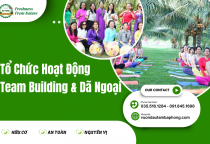 Tổ Chức Hoạt Động Team Building & Dã Ngoại