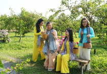 Check-in, Chụp Ảnh Sống Ảo Tại Vườn Dâu Tằm Ba Phong Tây Ninh