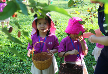 Trải Nghiệm Làm Nông Dân Thực Thụ Tại Vườn Dâu Tằm Ba Phong