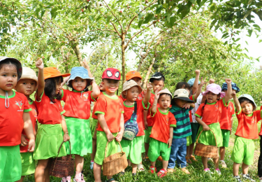 Vườn Dâu Tằm Ba Phong Tây Ninh – Điểm Đến Trải Nghiệm Nông Nghiệp Hữu Cơ Hấp Dẫn