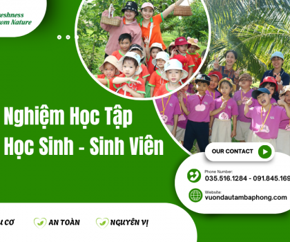 Trải Nghiệm Học Tập Cho Học Sinh – Sinh Viên