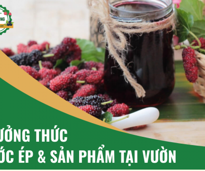 Thưởng Thức Nước Ép & Sản Phẩm Tại Vườn