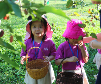 Trải Nghiệm Làm Nông Dân Thực Thụ Tại Vườn Dâu Tằm Ba Phong