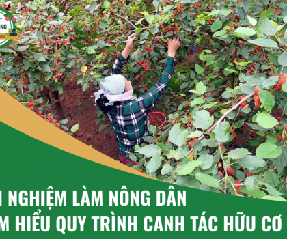Trải Nghiệm Làm Nông Dân & Tìm Hiểu Quy Trình Canh Tác Hữu Cơ