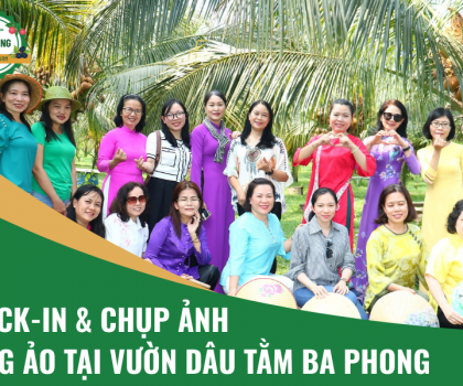 Check-in & Chụp Ảnh Sống Ảo Tại Vườn Dâu Tằm Ba Phong