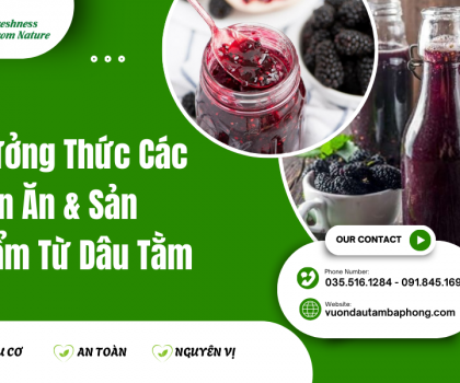 Thưởng Thức Các Món Ăn & Sản Phẩm Từ Dâu Tằm