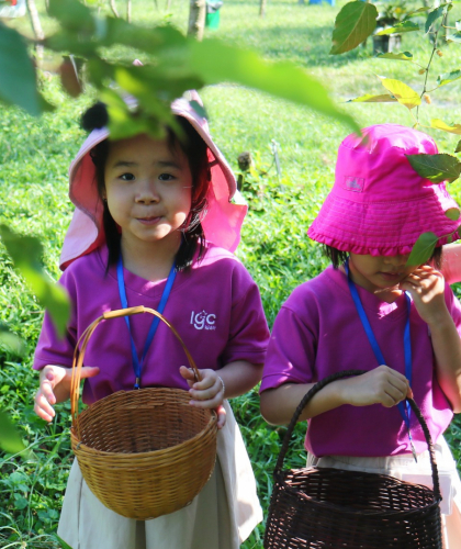 Nụ Cười Trẻ Thơ – Ngọt Ngào Như Quả Dâu Tằm 😊🍇
