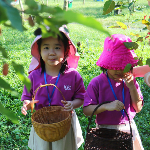 Nụ Cười Trẻ Thơ – Ngọt Ngào Như Quả Dâu Tằm 😊🍇