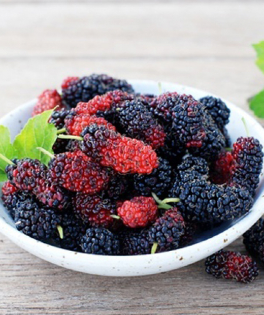 Dâu tằm tươi hữu cơ Ba Phong