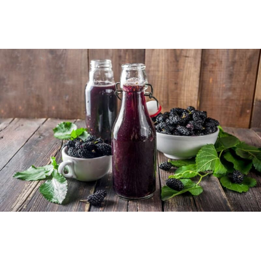 Rượu dâu tằm hữu cơ Ba Phong