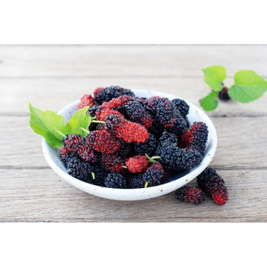 Dâu tằm tươi hữu cơ Ba Phong